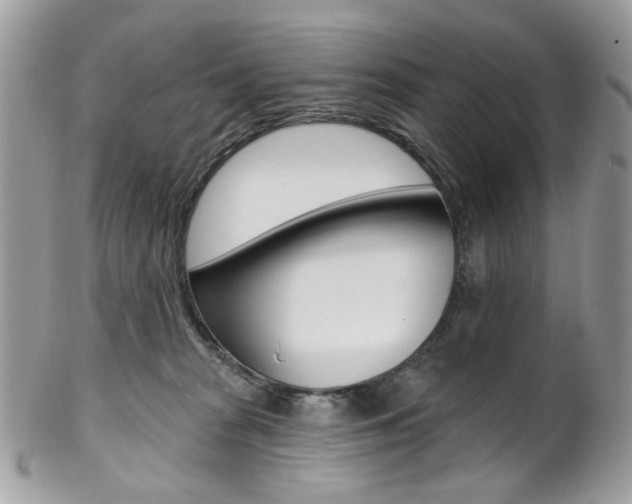 X0000102850277200808181053