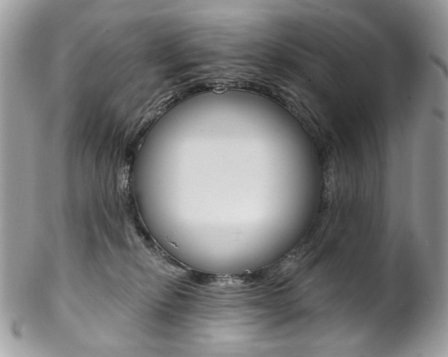 X0000102850278200808181053