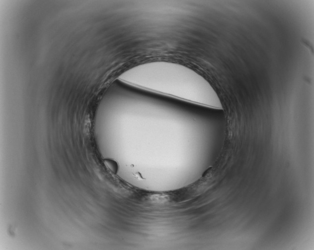 X0000102850279200808181053