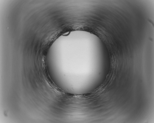 X0000102850280200808181053