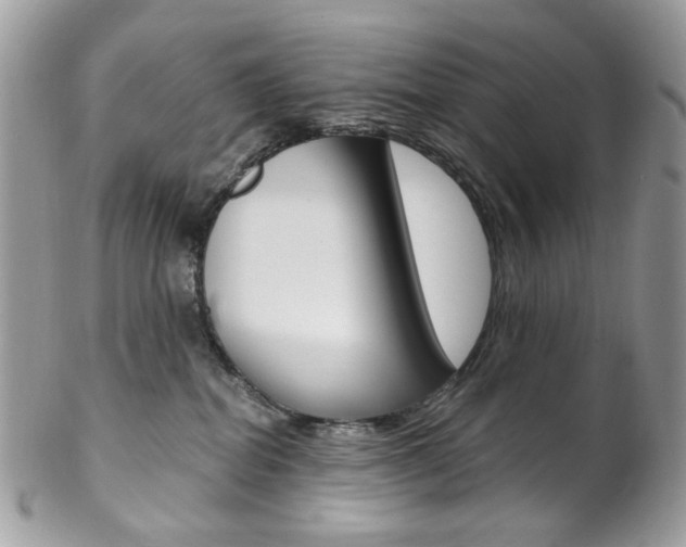 X0000102850282200808181053