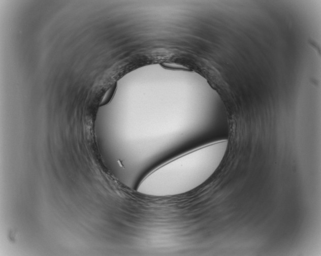 X0000102850283200808181054
