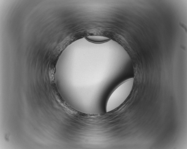 X0000102850285200808181054