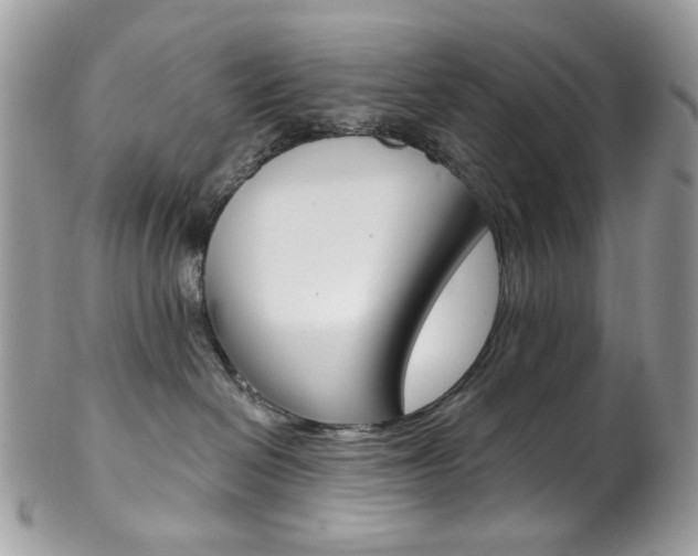 X0000102850286200808181054