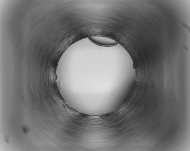 X0000102850287200808181054