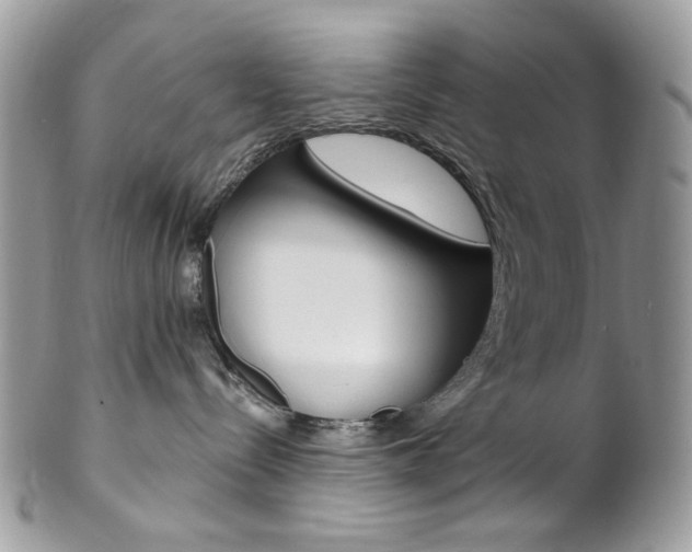 X0000102850288200808181054