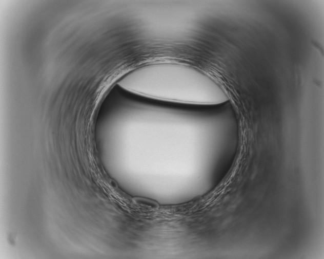X0000102850289200808181053