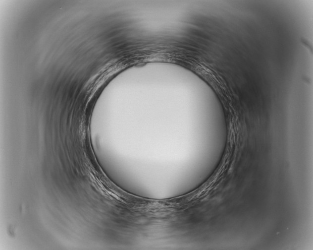 X0000102850290200808181053