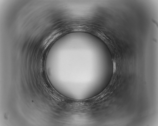 X0000102850291200808181053