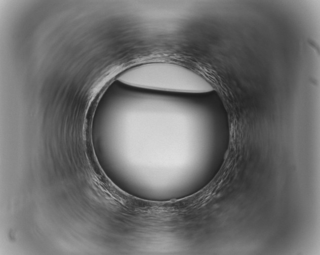 X0000102850292200808181053