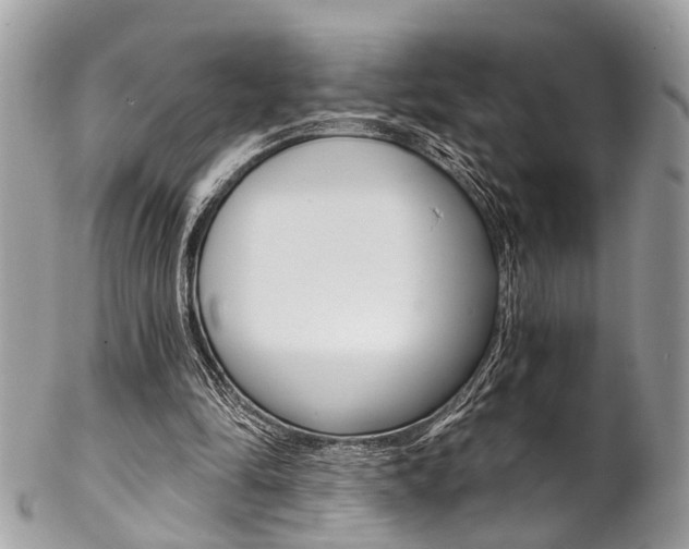 X0000102850294200808181053