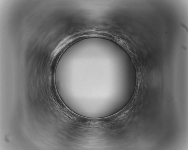X0000102850295200808181053
