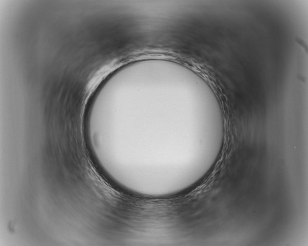 X0000102850296200808181053