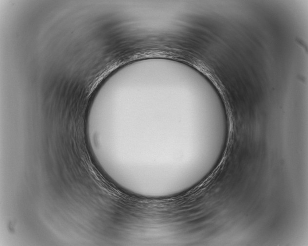 X0000102850297200808181053
