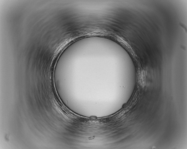 X0000102850298200808181053