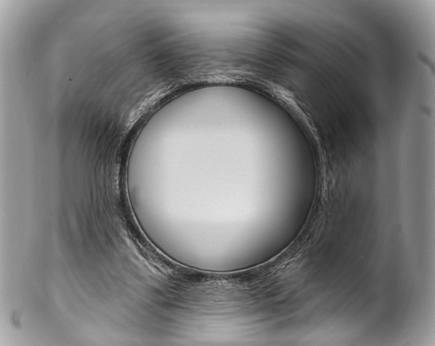 X0000102850299200808181053