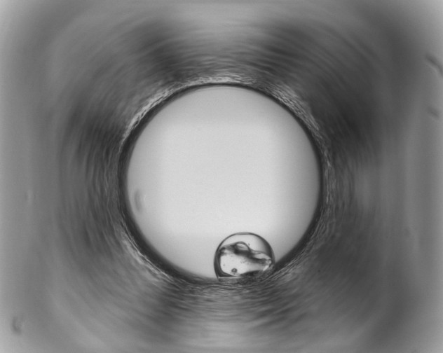 X0000102850300200808181053