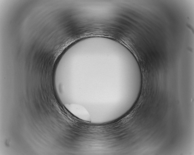 X0000102850301200808181053
