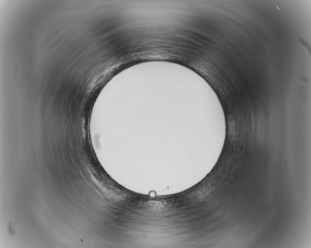 X0000102850302200808181053