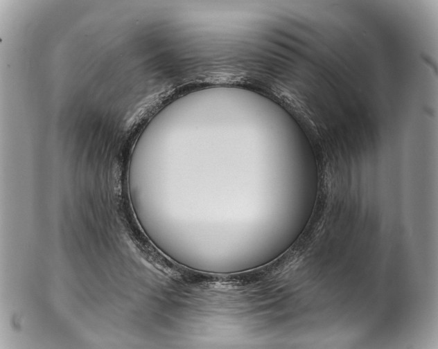 X0000102850303200808181053
