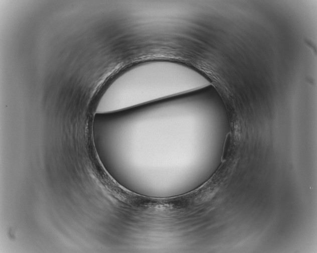 X0000102850304200808181053
