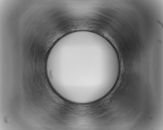 X0000102850305200808181053