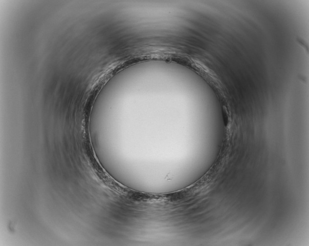 X0000102850306200808181053