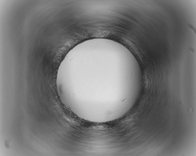 X0000102850307200808181053