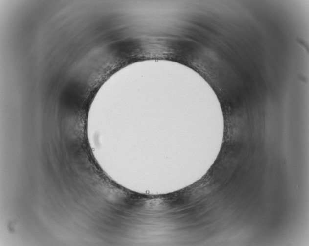 X0000102850309200808181053