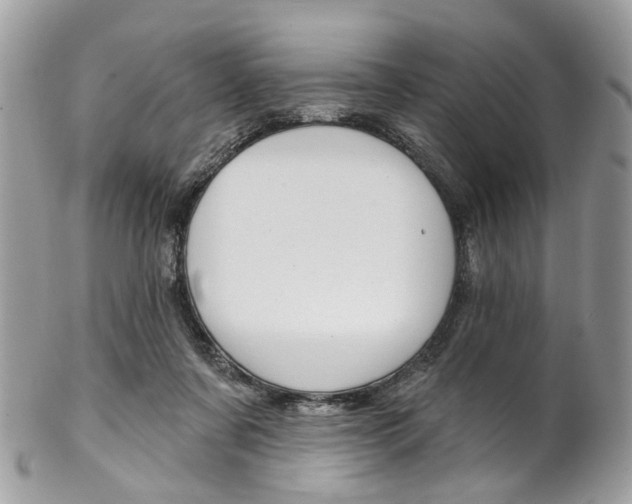 X0000102850311200808181053