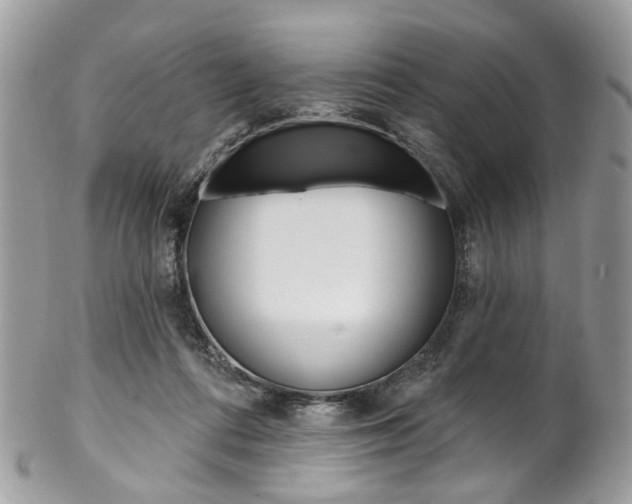 X0000102850312200808181053