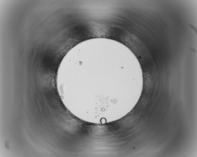 X0000102850313200808181053
