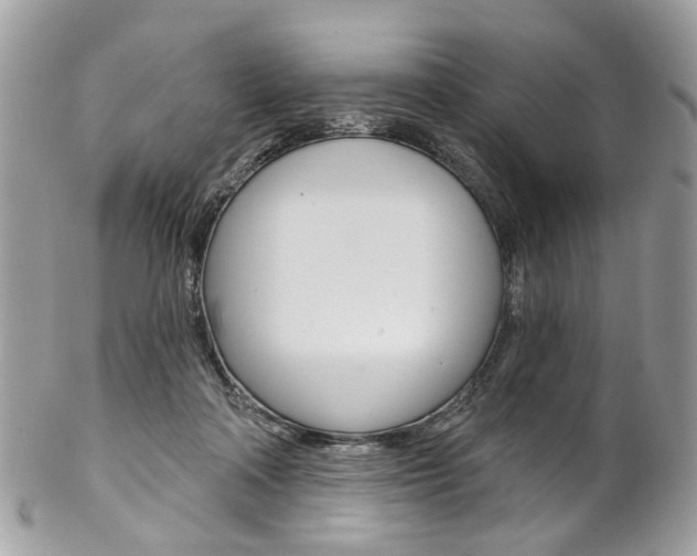 X0000102850314200808181053