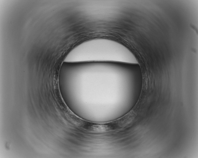 X0000102850316200808181053