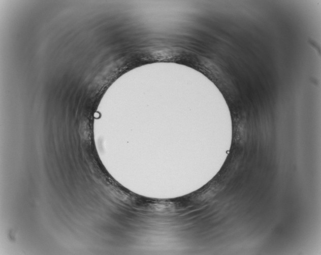 X0000102850317200808181053