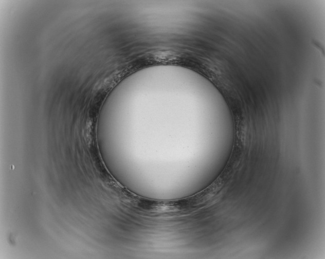 X0000102850319200808181052