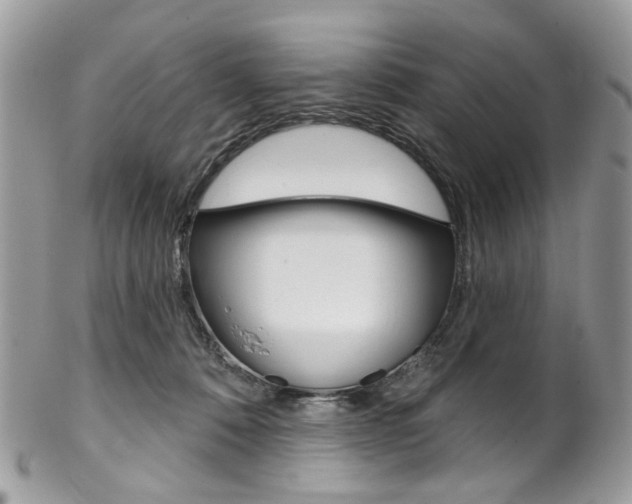 X0000102850320200808181052