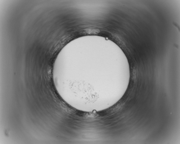 X0000102850321200808181052