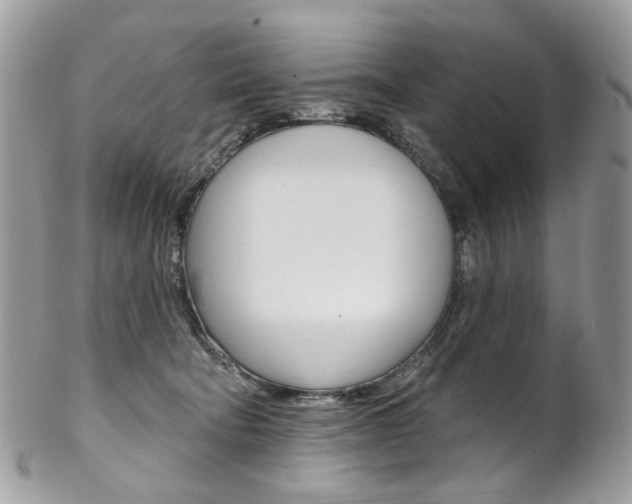 X0000102850322200808181052