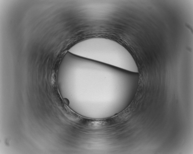X0000102850323200808181052