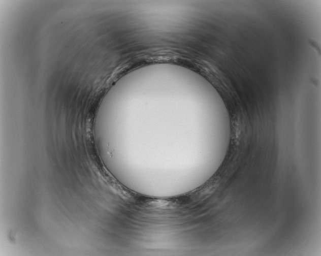 X0000102850326200808181052