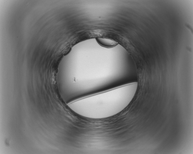 X0000102850331200808181052