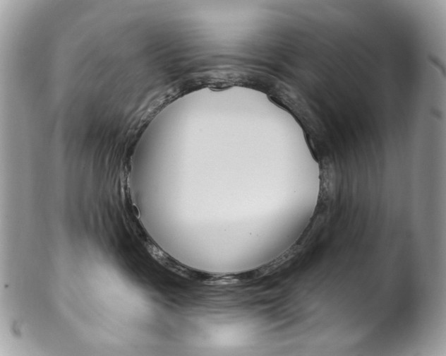 X0000102850333200808181052