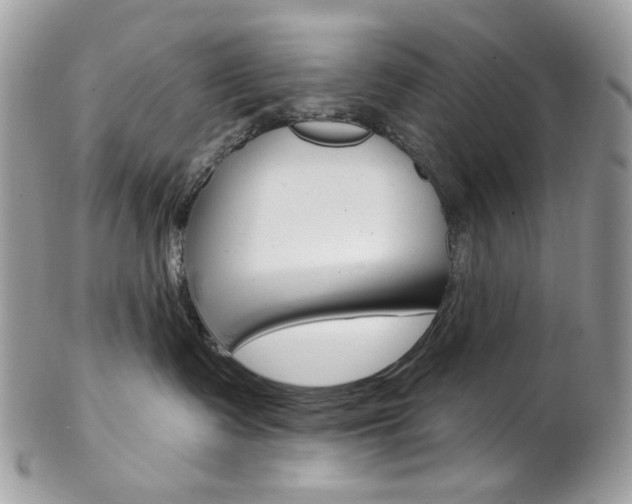 X0000102850335200808181052