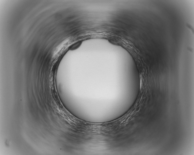 X0000102850339200808181052