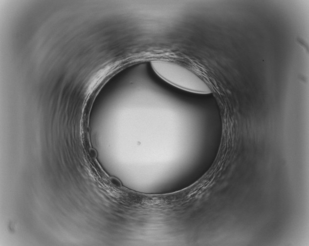 X0000102850340200808181052