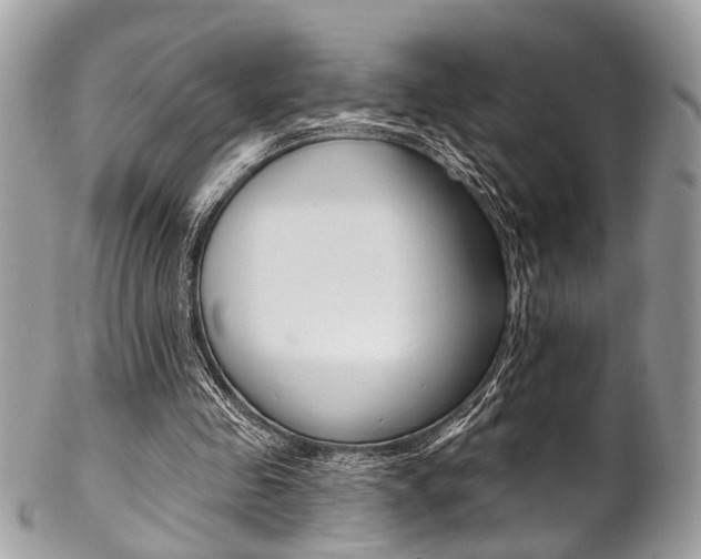 X0000102850341200808181052