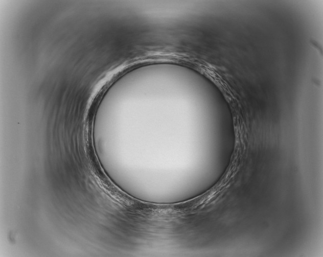 X0000102850342200808181052