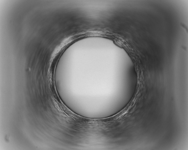 X0000102850343200808181052