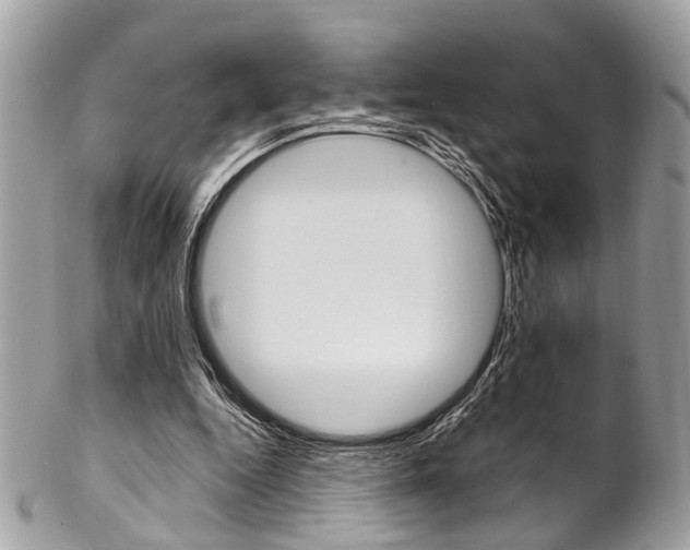 X0000102850344200808181052